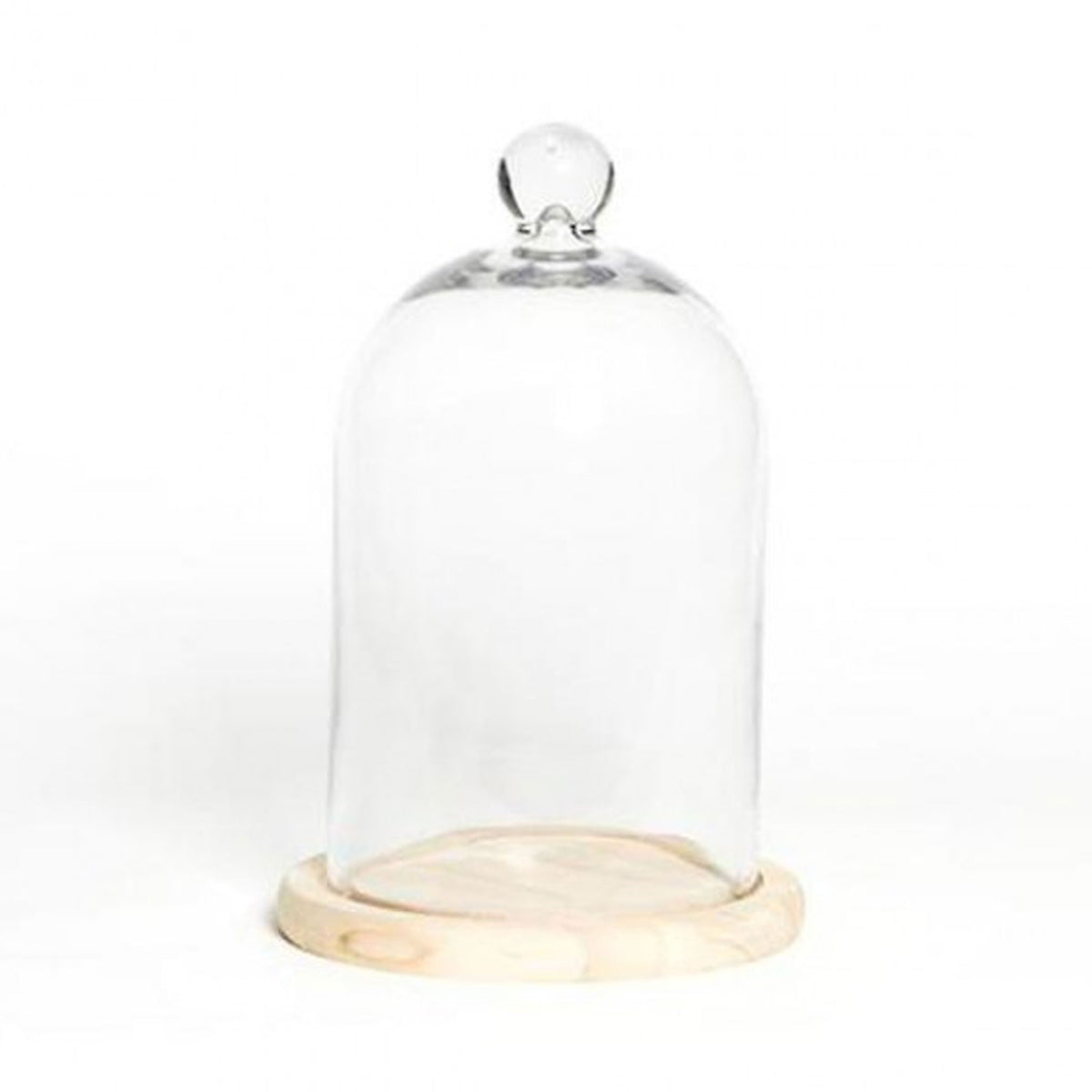 Glass Cloche with Knob & Light Wood Base